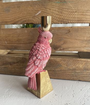 Pink kandelaar papagaai 